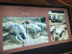 -秦始皇帝陵博物院(兵马俑)