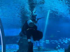 -北戴河圣蓝海洋公园