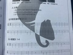 -大象音乐·吉他·架子鼓·声乐(双井店)