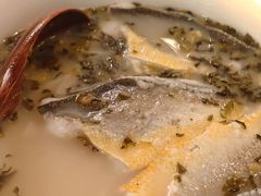小黄鱼煨面-顶特勒·黄鱼馆·特色菜(上海大世界店)
