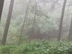 -驼梁风景区