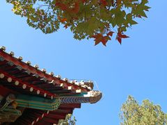 -香山公园