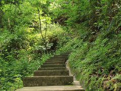 -云碧峰国家森林公园