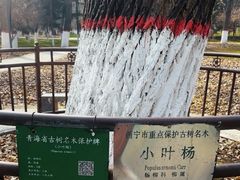 -西宁市人民公园(城西区)