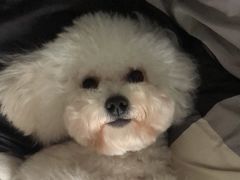 -萌兽医馆·宠物医院·猫骨科(创景店)