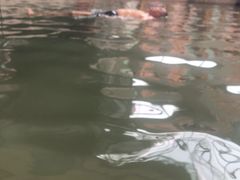 -中国死海旅游度假区