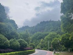 -桃花岭景区