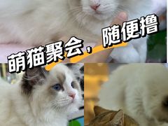 -万达广场(北京槐房店)