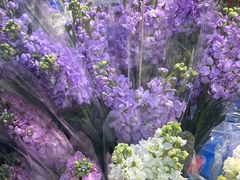 -循礼门鲜花花市(武汉循礼门店)