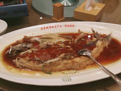 -丹江渔村(望京店)