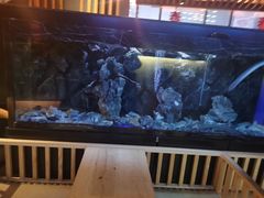 -石葵(锦业时代店)