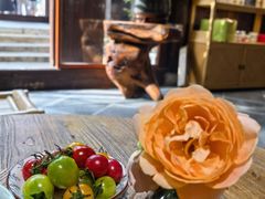 -月栖华明-云间草堂清茶馆(泗泾古镇店)