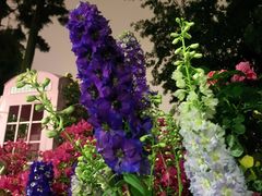 -人民公园(罗湖区)