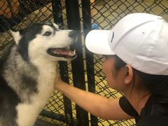 -TrueLove @ Neverland (Husky Cafe)