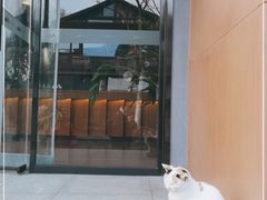 -一叶觅山(半边街店)