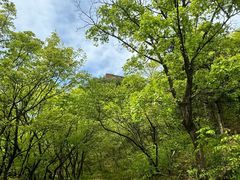 -妙峰山风景名胜区