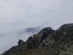 -白草畔自然风景区