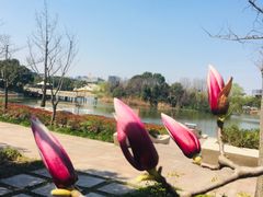 -新江湾城公园