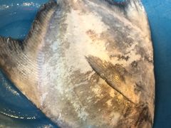 -真浪花园海鲜餐馆