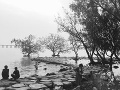 -宝安西湾红树林湿地公园