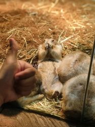 -Zoolung Zoolung动物主题公园(海信广场店)