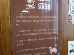 -喵园·猫主题咖啡厅·撸猫·猫咖(国贸店)