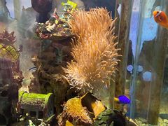 -太平洋海底世界