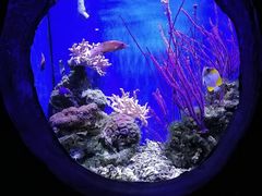 -南昌海洋公园