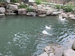 -云丘山景区