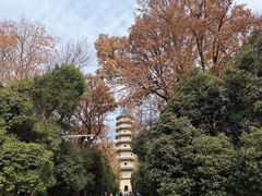 -灵谷景区