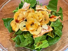 菠菜沙拉-樱の花亭日本料理店