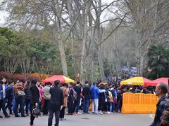 -武汉大学-樱园