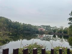-王借岗森林公园