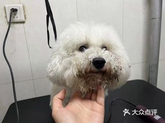 能看出来它是真的会享受啊