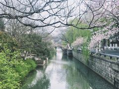-苏州上方山国家森林公园