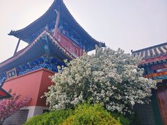 -天津妈祖文化园