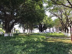 -集美鳌园景区
