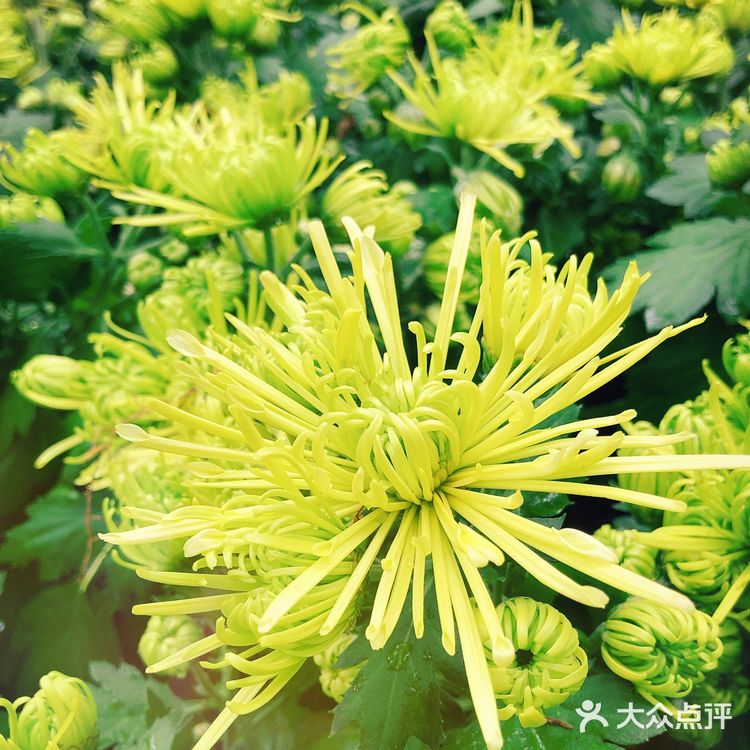 ️周三，午安！ 喜欢秋高气爽的季节  阳光明媚