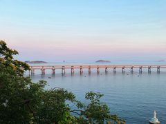 -星海湾跨海大桥