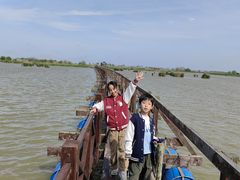 -盐城丹顶鹤湿地生态旅游区
