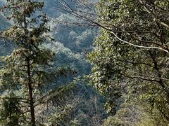-会稽山峡洞漂流-上青古道