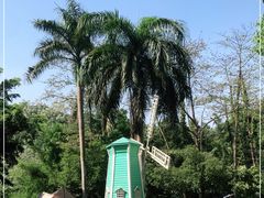 -南宁良凤江国家森林公园