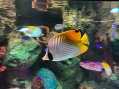 -沈阳海洋探索中心