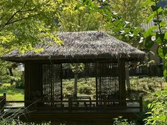 -石台牯牛降景区
