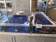 -船歌·鱼水饺青岛菜(闽江二路店)
