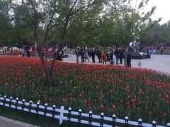 -长春公园(普阳街道)