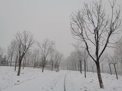 -东郊湿地公园