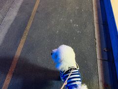 -长阳创谷