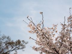 -龙美术馆(西岸馆)