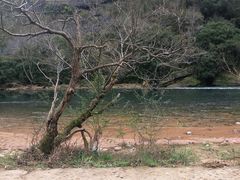 -武夷山风景名胜区-玉女峰